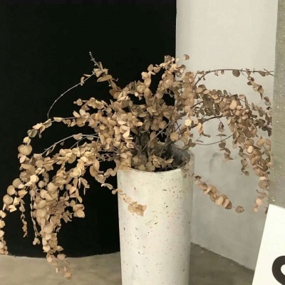 顺城福瑞交流群